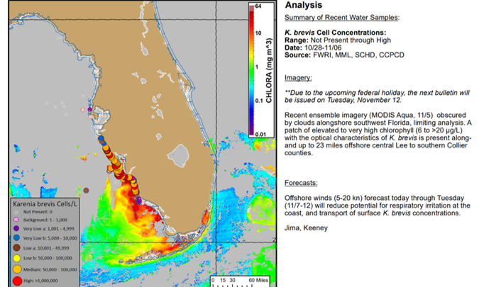 Red Tide report
