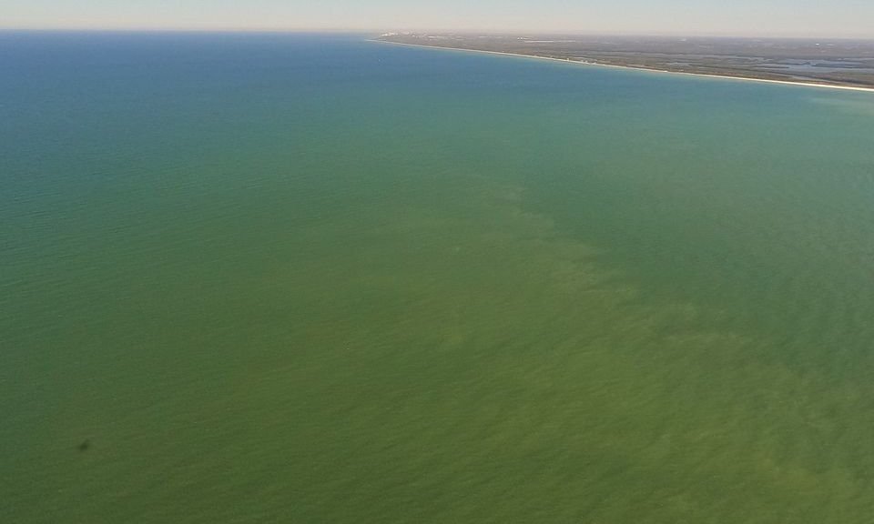 red tide conditions
