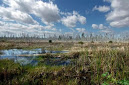 Wetlands Permitting
