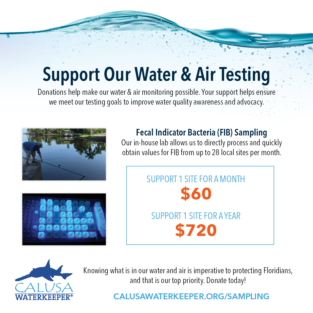 Water and Air Testing
