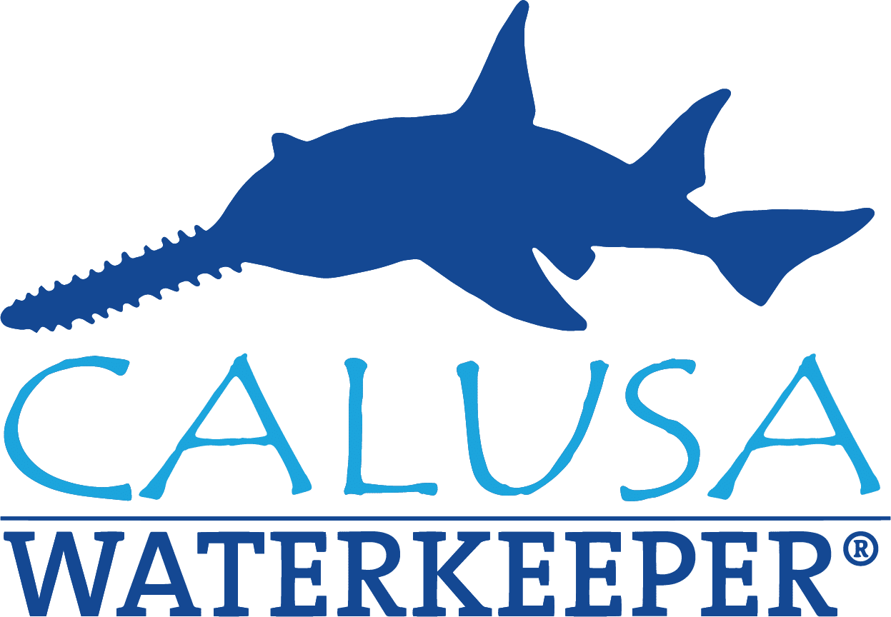 Our Team Calusa Waterkeeper