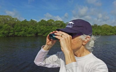 Calusa Waterkeeper Protects Region’s Vital Marine Resources