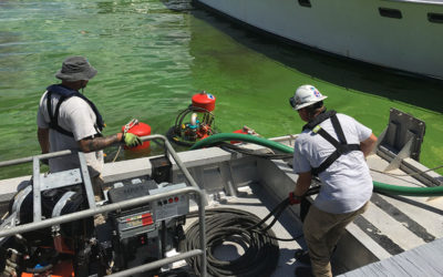 Where did Toxic Algae Vacuumed from Lee County Canals Go?