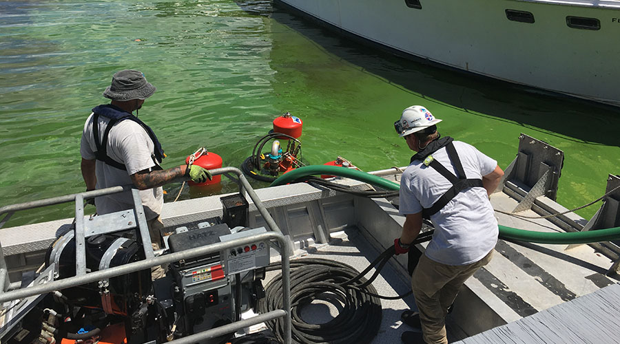 Where did Toxic Algae Vacuumed from Lee County Canals Go?