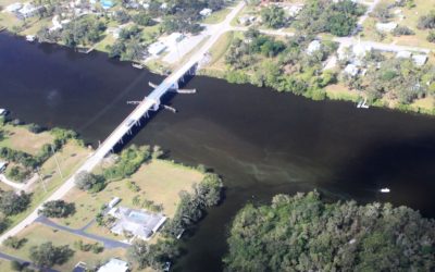 Algae Streaks Caloosahatchee’s Upper Reaches Again