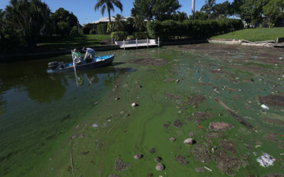 Battle Over Water and Public Health Returns to Florida Lawmakers