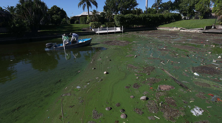 algae muck and falling seawall