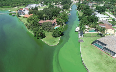 Personhood for the Caloosahatchee would give the River Legal Standing and a New Hope