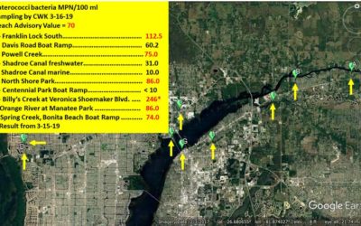 Enterococci Bacteria Results from Multiple Lee County Sites