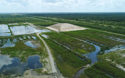 SWFL to Feds: Don’t Make us Bear the Brunt of Dirty Lake O Releases