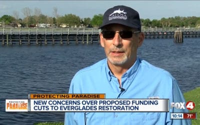 Florida Delegation Urges Trump to Increase Everglades Funding
