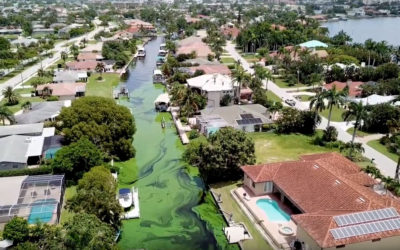 Take Action on Florida’s Harmful Algae Blooms