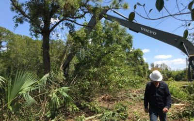 Officials Ready Mullock Creek to Drain Floodwaters, but at what Cost to the Environment?
