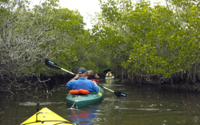 Earth Day Kicks off Week-long Festival of Events & Cleanups