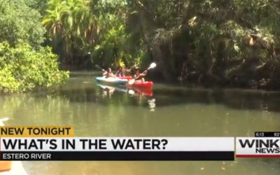 Estero River Teeming with Bacteria but Lack Warnings for Danger