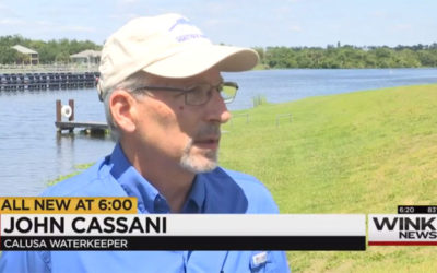Fecal Bacteria is the New Water Crisis in Southwest Florida
