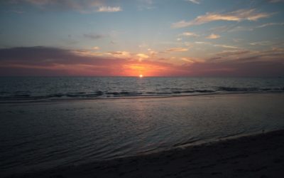 The Big Calusa Festival Begins on Earth Day