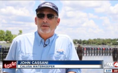 Toxic Algae Found in Caloosahatchee River Near Franklin Lock
