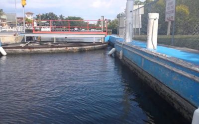 Hearing on Chiquita Lock Removal Wraps Up