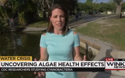 CDC Plans to Uncover the Health Effects of Blue-Green Algae