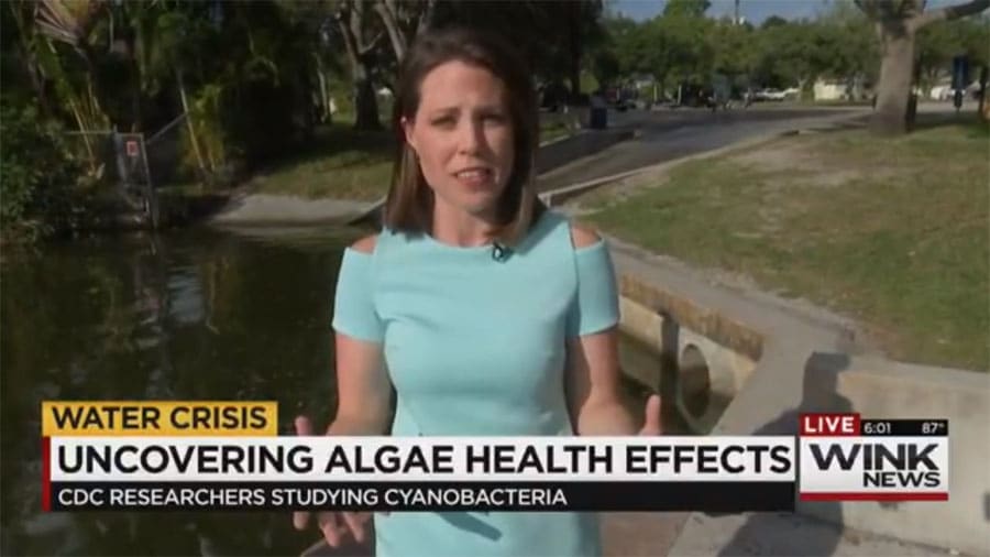 CDC Plans to Uncover the Health Effects of Blue-Green Algae
