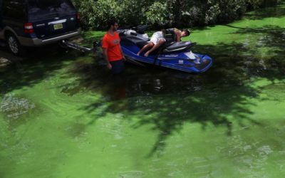 How Much Algae Toxin is too Much? Environmental Groups Urge EPA to Adopt Stricter Guidelines for Recreational Exposure