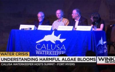 Experts Say Public Awareness is Critical at Water Quality Summit