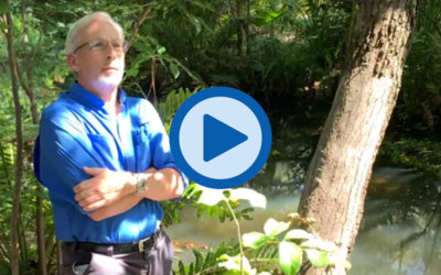 Words from the Waterkeeper