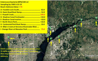 Enterococci Values Remain Low, Likely due to Minimal Stormwater Runoff