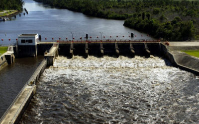 Army Corps Looking to Lower Lake Okeechobee Levels Now Through Start of Rainy Season