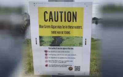 Army Corps Places Blue-green Algae Warning Signs at Franklin Lock