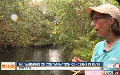 High Levels of Bacteria Found in Estero River