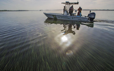 DEP Working to get Caloosahatchee River Pollution Plan to Feds by 2022