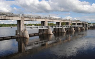 Sparse January Rains have left Southwest Florida Parched