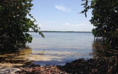 Greater Pine Island Civic Association Welcomes Calusa Waterkeeper John Cassani to Monthly Meeting