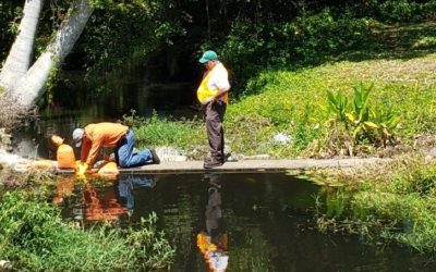 Massive Raw Sewage Spill in Fort Myers Flows through McGregor Boulevard Neighborhood