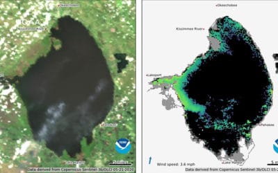 Experts Watching Area of Lake Okeechobee for Blue-Green Algae