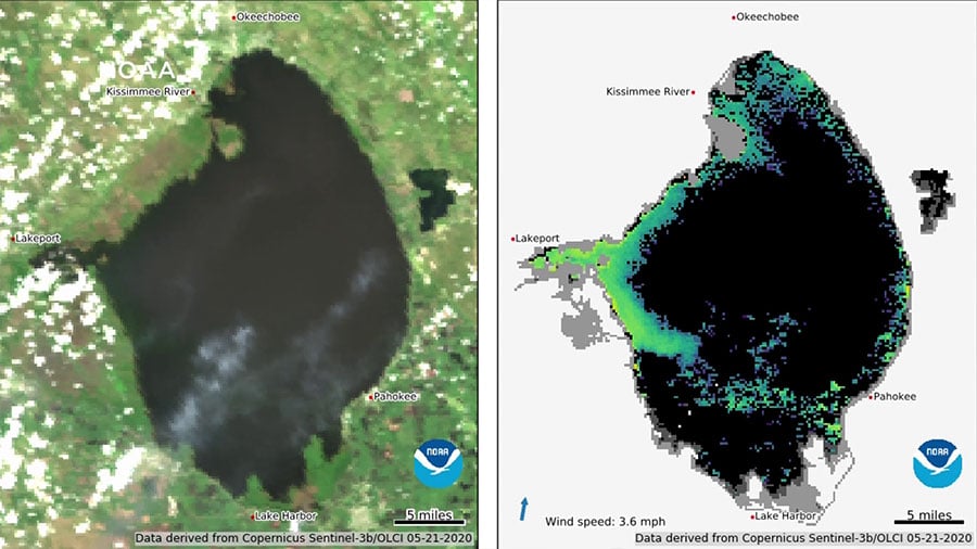 Experts Watching Area of Lake Okeechobee for Blue-Green Algae