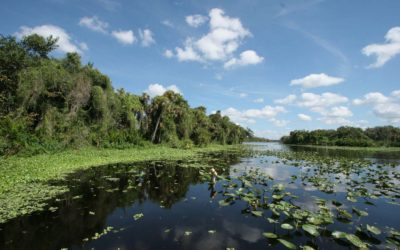 Calusa Waterkeeper Turns 25