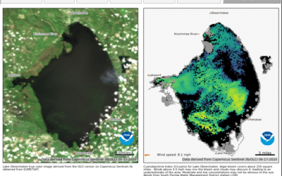 Blue-Green Algae Bloom Covering more than Half of Lake Okeechobee