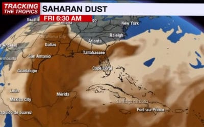 Saharan Dust could Ramp Up Red Tide off our Coast