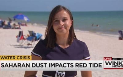 Saharan Dust may Impact Southwest Florida Coastal Waters