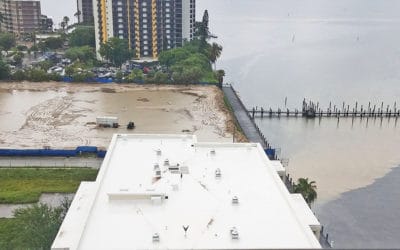 Runoff from Construction Sites Enter Caloosahatchee River