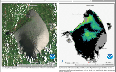 Lake Okechobee Blue-Green Algae Bloom Shrinks in Size