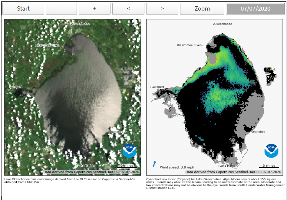 2020-07_NOAA satellite imagery Lake O