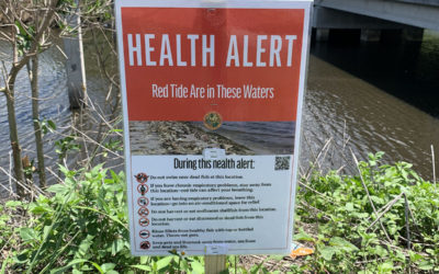 Environmental Groups want State to do More to Warn Public about Toxic Blue-Green Algae