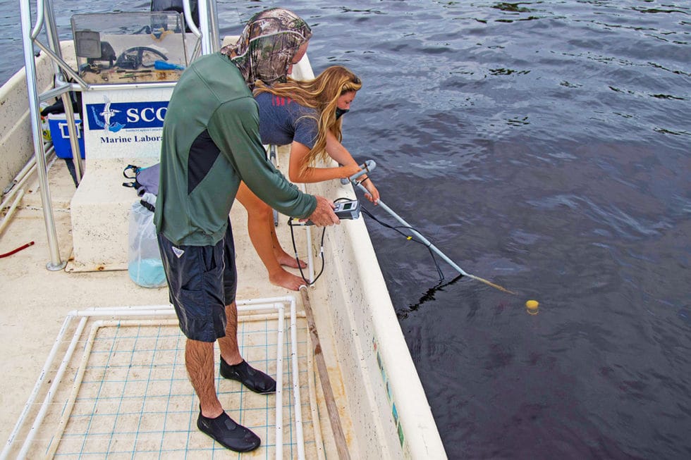 Scientists Mapping Tape Grass in Caloosahatchee in Hopes of Helping