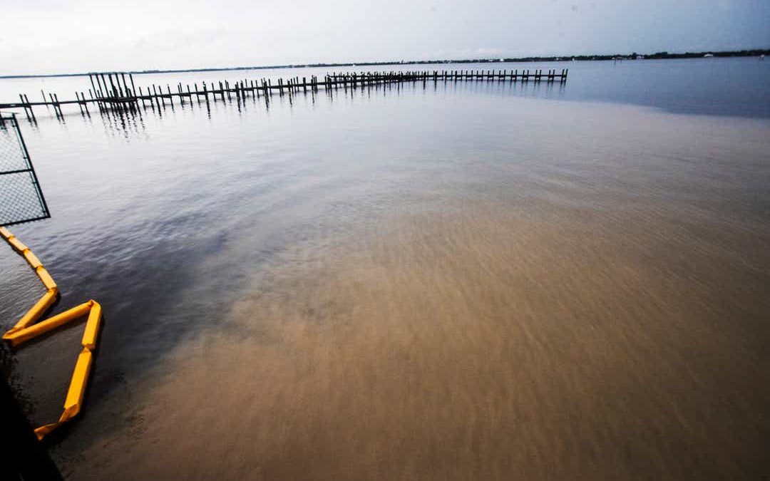 sediment runoff in Fort Myers_NEWS-PRESS