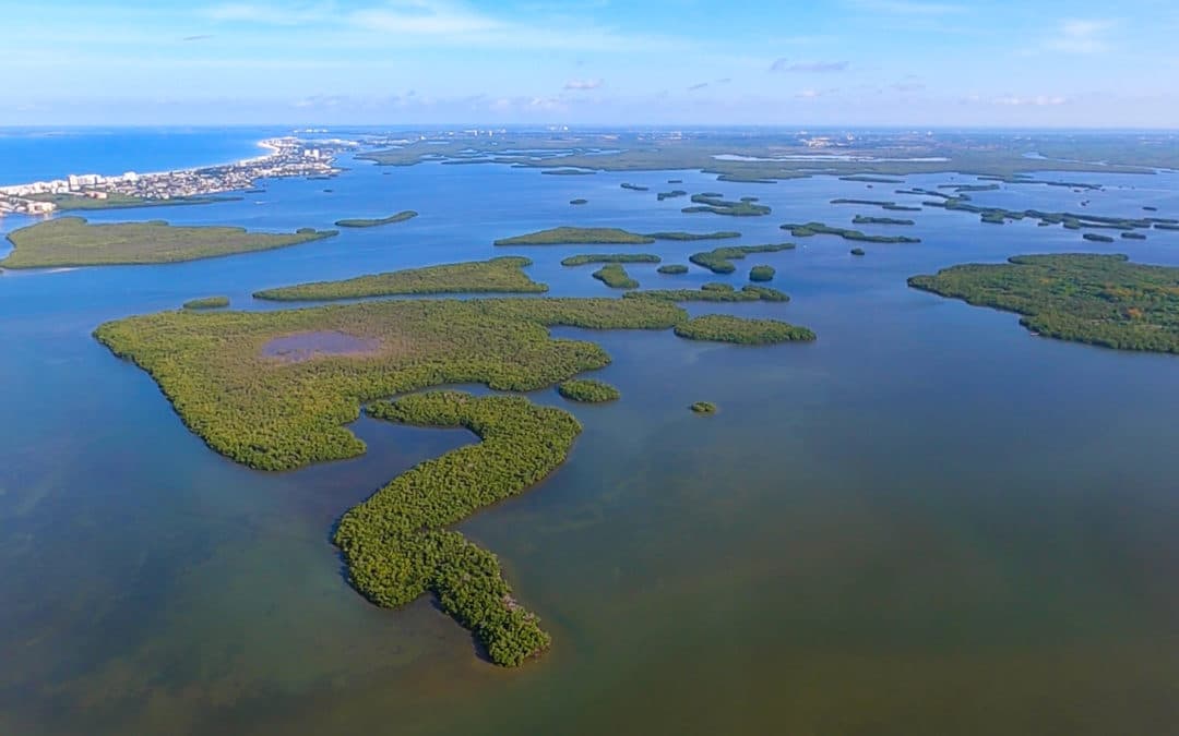 Estero Bay