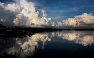 Saving Estero Bay and Southwest Florida’s Waterways